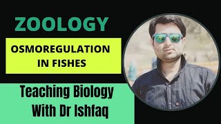 Osmoregulation in FishPisces [upl. by Nagap]