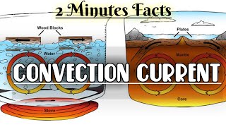 Convection Current  Just 2 Minutes Facts  Simplified Concept [upl. by Meir]