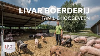 Toer de Boer Livarboerderij familie Hoogeveen in Weert [upl. by Akinorev]