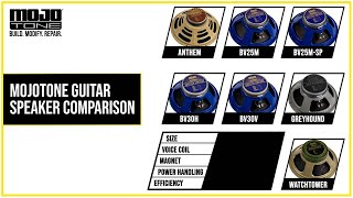 Mojotone Guitar Speaker Comparison [upl. by Oinotla]