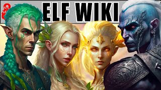 Elf  Dungeons and Dragons Wiki 5e [upl. by Aufa]