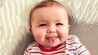 Funny Baby Videos  The Cutest Chubby Baby Compilation [upl. by Infield]