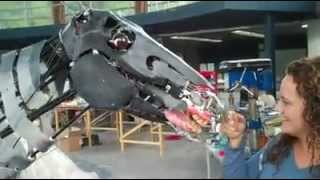 War Horse Animatronic Joey Mechanism [upl. by Gae]