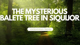 UNCOVERING THE MYSTERIOUS BALETE TREE IN SIQUIJOR JOCELICIOUS TRAVEL [upl. by Niala]