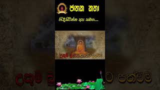 ජාතක කතා  jathaka katha  jathaka katha sinhala  mora piritha  jathakakatha [upl. by Eidaj486]