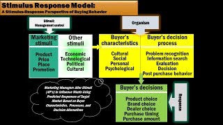 19 Stimulus Response Model by Tracy McGee [upl. by Aneeb679]