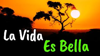 Ama La Vida y La Vida Te Amará ¦ Gratitud Frases Reflexiones Motivación [upl. by Port]