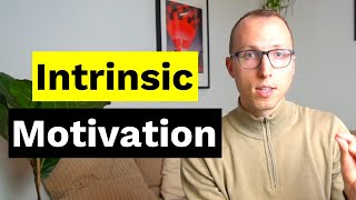 How to Boost your Intrinsic Motivation as an Entrepreneur [upl. by Arytas570]