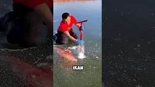 Menangkap ikan di kutub utara mancing kutubutara menangkapikan [upl. by Kisor]