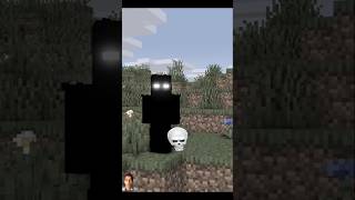 Ready to fight Minecraft animation minecraft animation shorts [upl. by Ociram187]