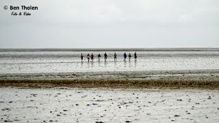 De Waddenzee 3 augustus 2016 [upl. by Morocco]