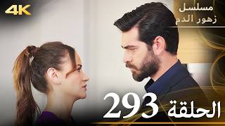 الحلقة 293  مسلسل زهور الدم  مدبلج بالعربية  Kan Çiçekleri  جودة 4K [upl. by Ecirahc949]