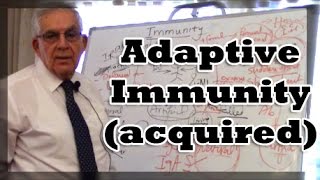 Adaptive Immunity acquired [upl. by Asertal]