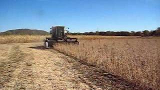 Harvesting with the F2 Gleaner Part I [upl. by Twyla488]