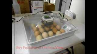 IncuView Egg Incubator Test Results [upl. by Suryc]