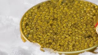 Markys  Karat Caviar Farm process and quality Caviar Osetra and Caviar Kits [upl. by Hesky541]