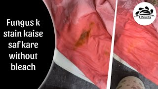 How to remove fungus stain from Cloth  uniwax  tea fungus Mehdi pan gutka stain remover [upl. by Kallick]