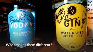 What Is the Difference Between Gin and Vodka Gin vs Vodka » HomeBrewAdvicecom [upl. by Gusta]