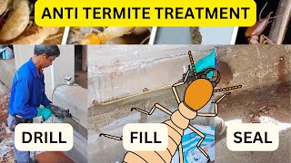 Anti Termite Treatment Everything You Need to Know [upl. by Cade922]