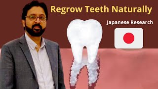 Regrowing Teeth Naturally Breakthrough with a Single Japanese Medicine [upl. by Monte855]