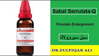 Sabal Serrulata  Action and Causes  Doses  سبل سیروولاٹا  Explained in UrduHindi [upl. by Aeduj]