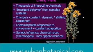 Phytochemistry Matrix of Plants [upl. by Aivonas]