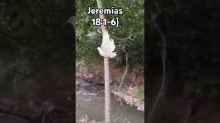 Jeremías 1816 [upl. by Nnazil]