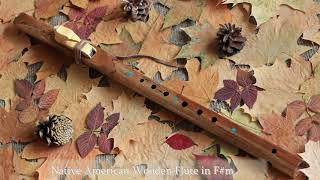 Native American Flute in F sharp [upl. by Leibman]