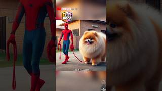 Spiderman gifting a Giant Pomeranian to Supergirl ❤️ brawlstars spiderman marvel dccomics [upl. by Llerroj]