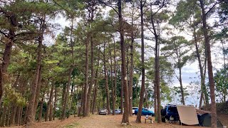 Mitsubishi Pajero Fieldmaster 4x4  Overlanding in Tanay Epic Parc Rainforest Camp [upl. by Subir]