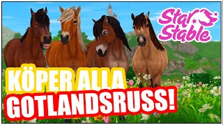 Jag köper ALLA Gotlandsruss  SSO  Star Stable Online [upl. by Sivat]