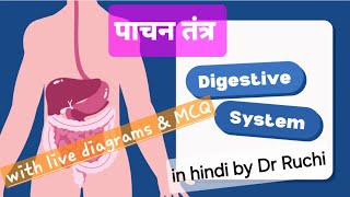 Digestive System Explained in Hindi  NEET pachan tantra [upl. by Genia]