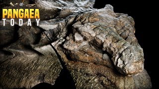 Incredible Mummified Dinosaur Found  Borealopelta [upl. by Adialeda505]