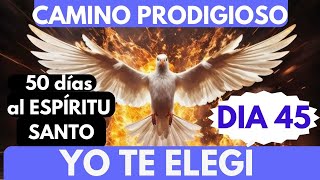 Día 45🔥🙏 CAMINO PRODIGIOSO 50 DÍAS AL ESPÍRITU Santo san Matías YO TE ELEGÍ 🌿✅ [upl. by Spalla]