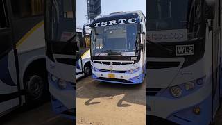 Apsrtc amp Tsrtc buses taking rest at Visakhpatnam apsrtc tsrtc andhra telangana busjourney bus [upl. by Alimrahs]