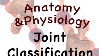 Joints and Articulations  Classification Structure 0806 [upl. by Betthezel]