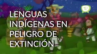 Lenguas indígenas de Hidalgo en peligro de extinción [upl. by Eidaj293]