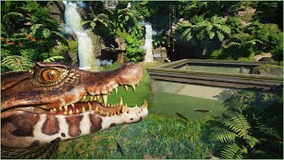 🐊 Little tropical dwarf caiman habitat  Conuco Zoo  Planet Zoo  speedbuild🥑 [upl. by Eelrac688]