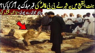 Jannat ul Baqi Main Aik Baar Phr Sher Namudar😨 [upl. by Judas]