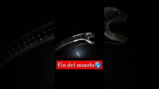 viral mar animales curiosidades monstruos [upl. by Emelin]