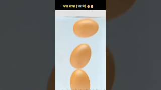 Egg 🥚 taja hai ya nai kaise pata kare 💥 facts amazingfacts interestingfacts ytshorts shorts [upl. by Essilem]