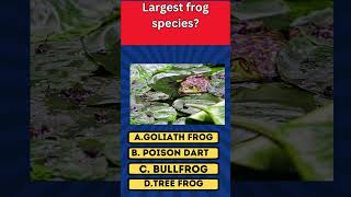 Guess the Largest frog species shortsviral fypage シ゚viral viralshorts viralvideoシ fypage [upl. by Eelinnej]