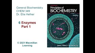 Chapter 6  Enzymes Part 1 [upl. by Yenobe]