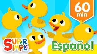 Cinco Patitos Y Más Canciones Infantiles  Música Para Niños [upl. by Ralip206]