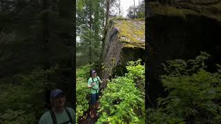 Glaciation is the process of being covered by glaciers history geology outdoors explore vlog [upl. by Lihas]