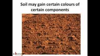 Science  Environment Soil  Soil Around Us  English [upl. by Hgieliak]