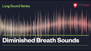 Diminished Breath Sounds  EMTprepcom [upl. by Tnomyar503]