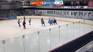 Roseville Mahtomedi Girls Hockey Live Stream [upl. by Asi]