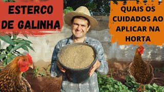 COMO APLICAR ESTERCO DE GALINHA NA HORTA ORGÂNICA E NÃO QUEIMAR AS RAÍZES DAS SUAS PLANTAS Ep40 [upl. by Birdie]