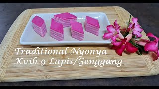 Traditional Nyonya Kuih Lapis 9 Layered [upl. by Abigael]